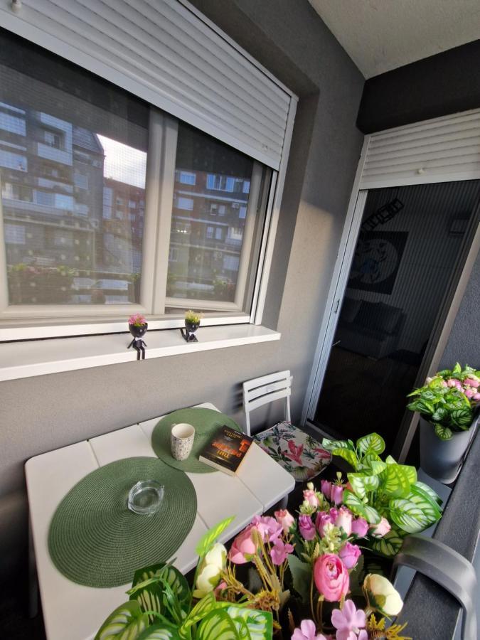 סרמסקה מיטרוביקה Apartman Astra מראה חיצוני תמונה